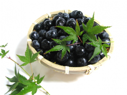 自治体を応援して返礼品をもらおう！東京都小平市のふるさと納税の取り組み