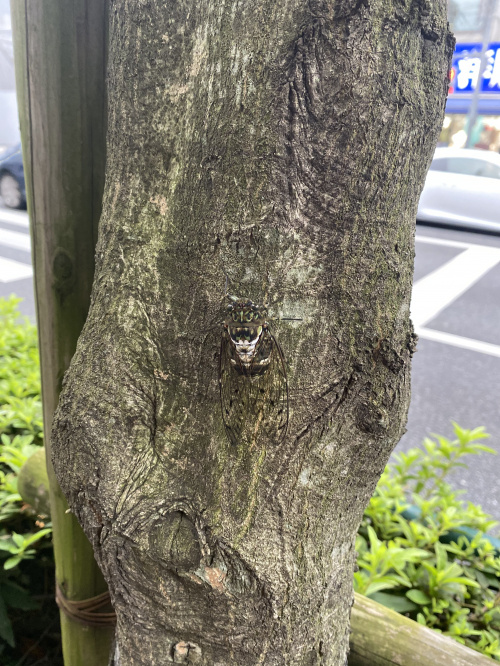 夏、突入しました！！の画像