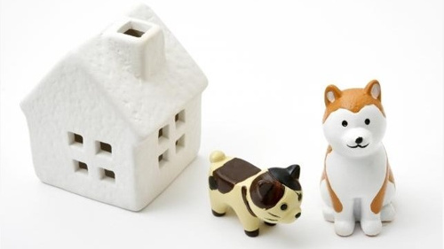ペット可となっている賃貸物件でも、必ず飼える動物の種類について確認しておく必要があるという内容について解説していこうとしている様子の写真