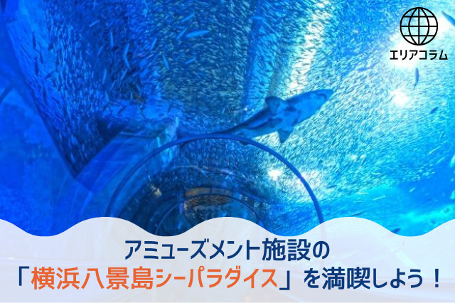 アミューズメント施設の「横浜八景島シーパラダイス」を満喫しよう！の画像