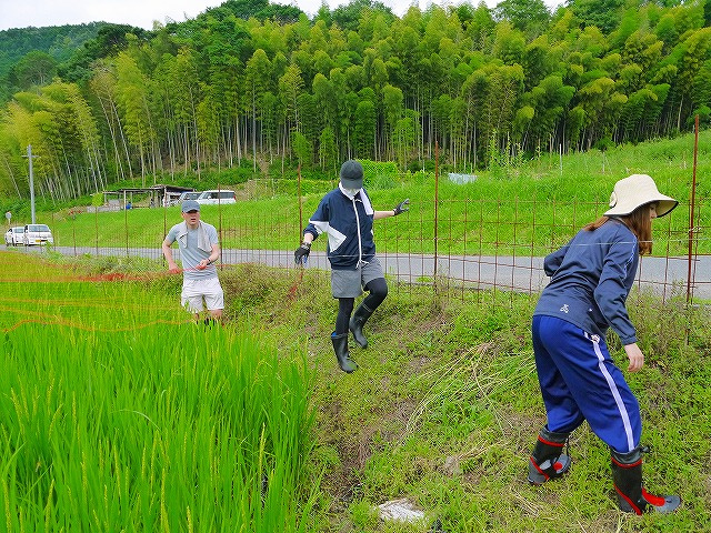 女性陣も奮闘
