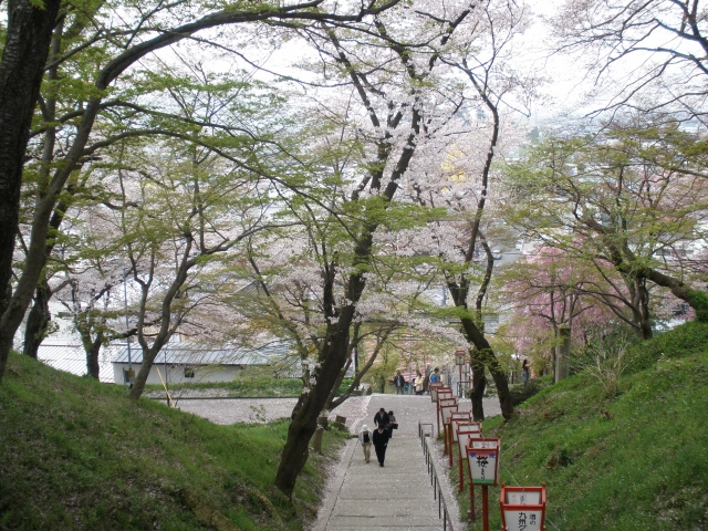 山形県南陽市のお花見ができる公園おすすめ2選！観光名所もご紹介」の画像