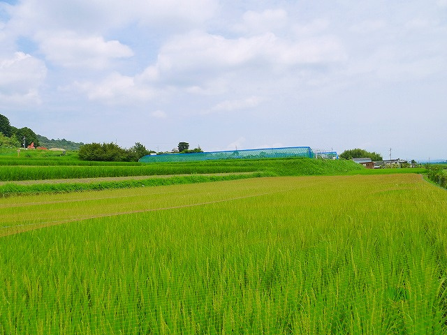 短時間で目標が達成
