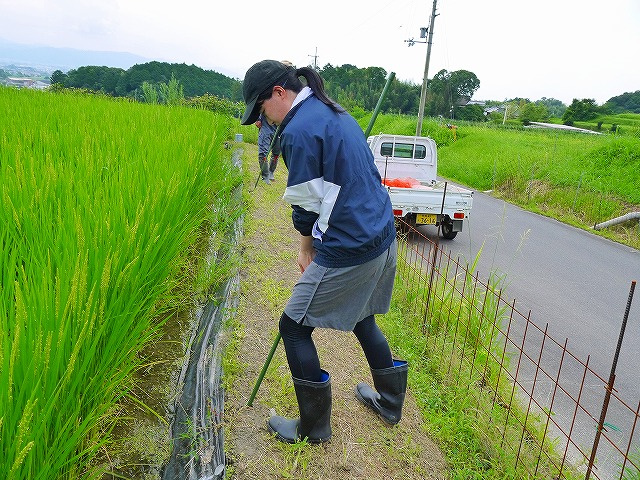 支柱建てにチャレンジ！