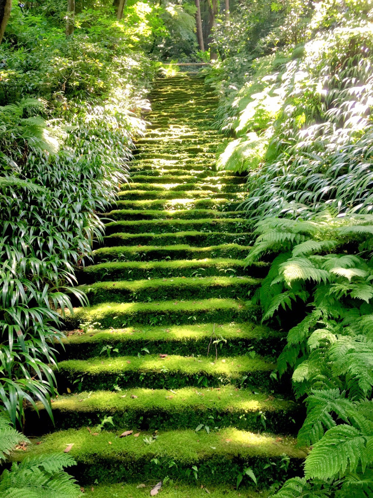 苔が美しい鎌倉のお寺の画像
