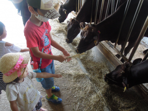 三方湖・小浜グルメ三昧旅行in福井の画像