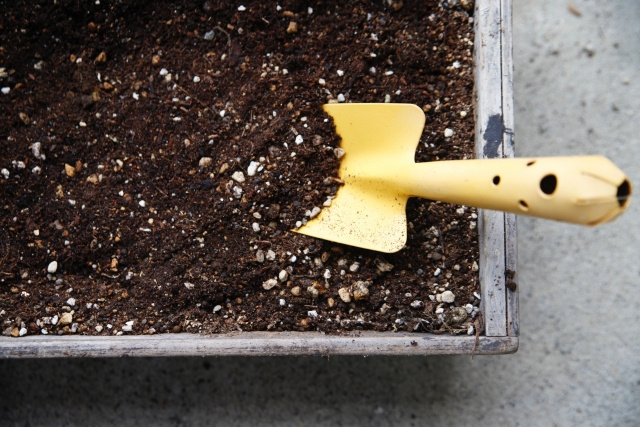 植木鉢にコバエを発生させない方法は？
