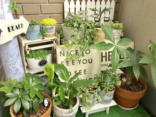 花のある暮らしをしよう 平塚でベランダガーデニングの参考になる花屋は 平塚市の不動産はスカイガーデン株式会社まで 花のある暮らしをしよう 平塚でベランダガーデニングの参考になる花屋は 平塚市の不動産はスカイガーデン株式会社まで