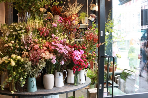 安城市でベランダガーデニングアイテムが充実しているお花屋さんが知りたい 幸田町での新築一戸建て 土地 不動産のことなら ウッドボへ 安城市でベランダガーデニングアイテムが充実しているお花屋さんが知りたい 幸田町での新築一戸建て 土地 不動産のことなら ウッドボへ