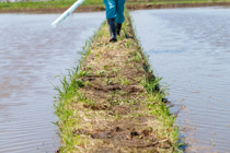 コロナ禍を乗り越えろ！港区赤坂にある「東京農村」のサービスをご紹介の画像