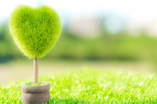 新築住宅に屋上庭園を設置することの魅力とは？夢のマイホームをさらに充実させよう！