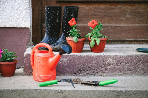 海老名市で家庭菜園を始めたい！園芸用品を購入できるお店