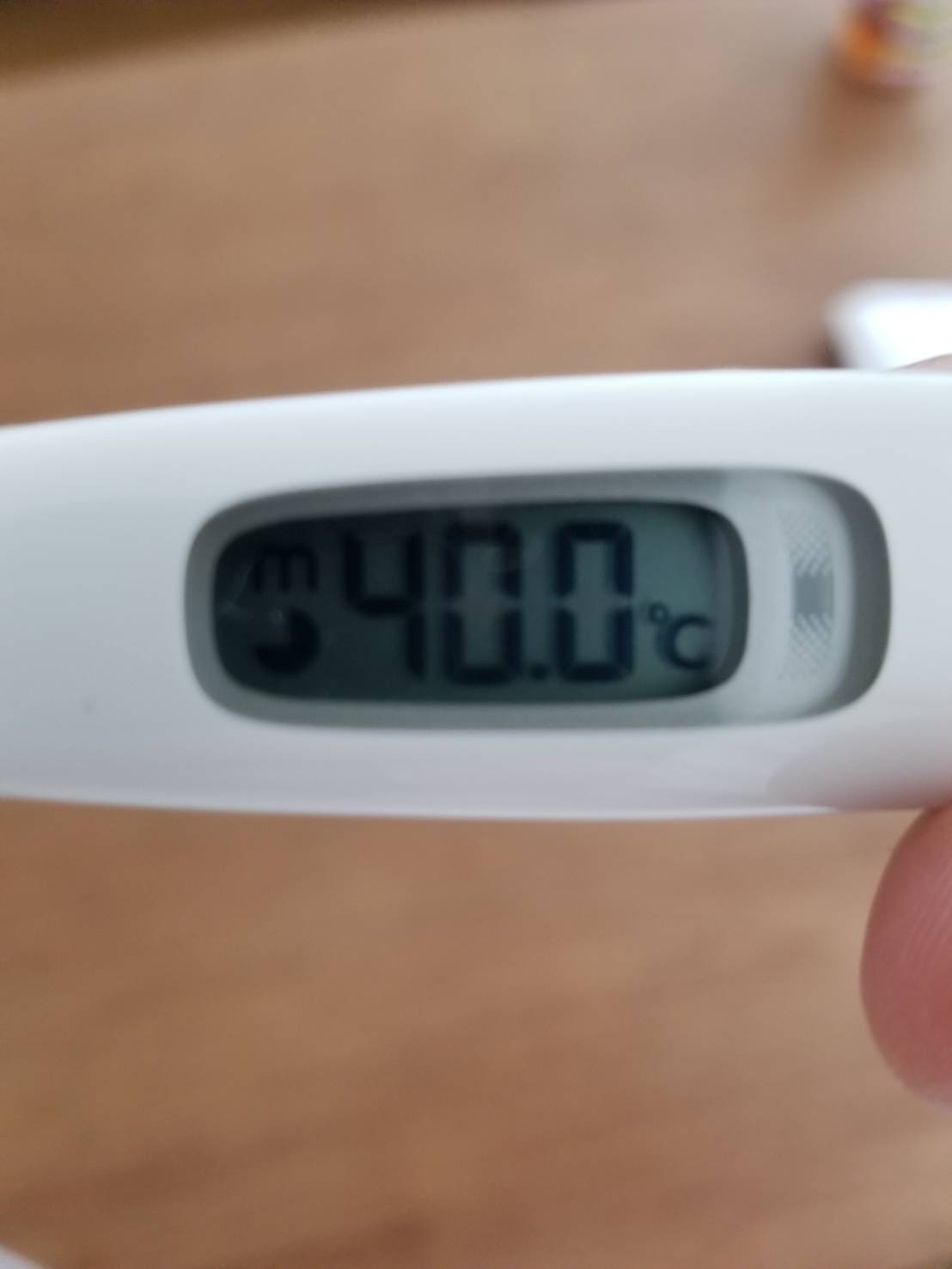 ８月２０日：夏季休暇を振り返れない…の画像