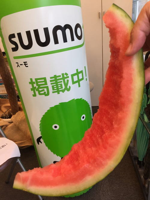 西瓜を頂きました！の画像