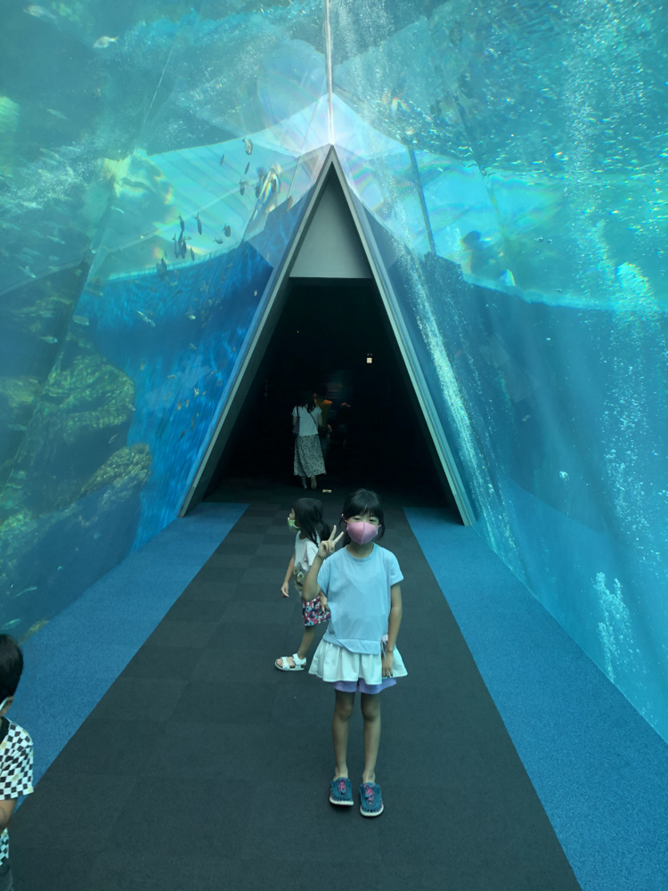 短い夏休みの画像