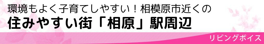 環境もよく子育てしやすい！相模原市近くの住みやすい街「相原」駅周辺