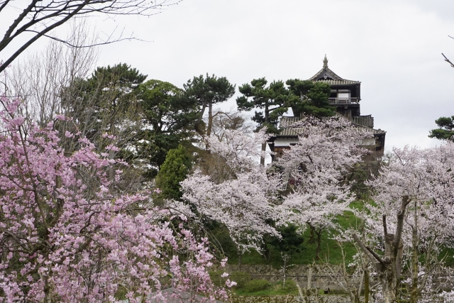 子どもから大人まで住みやすさ抜群！福井県福井市の魅力はどんなところにある？の画像