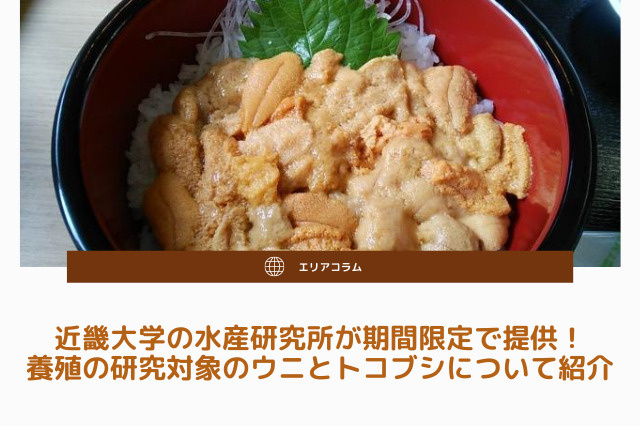 近畿大学の水産研究所が期間限定で提供！養殖の研究対象のウニとトコブシについて紹介の画像