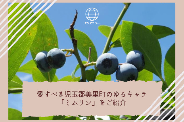 愛すべき児玉郡美里町のゆるキャラ「ミムリン」をご紹介｜前橋市で