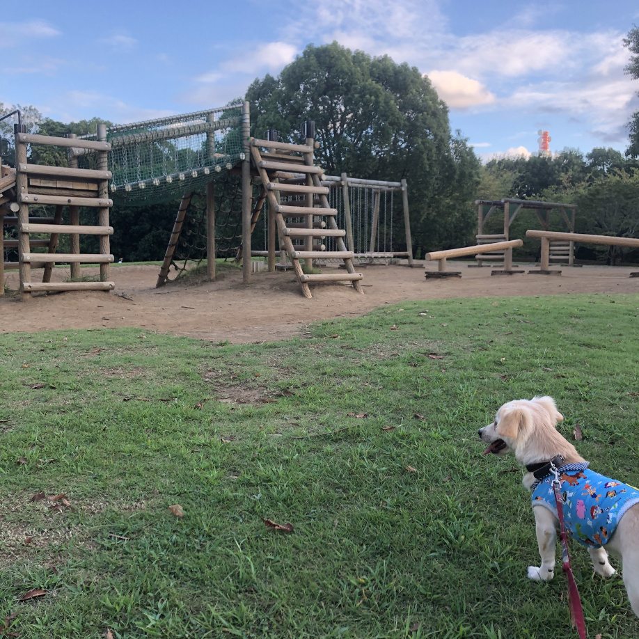 誰もいないの画像