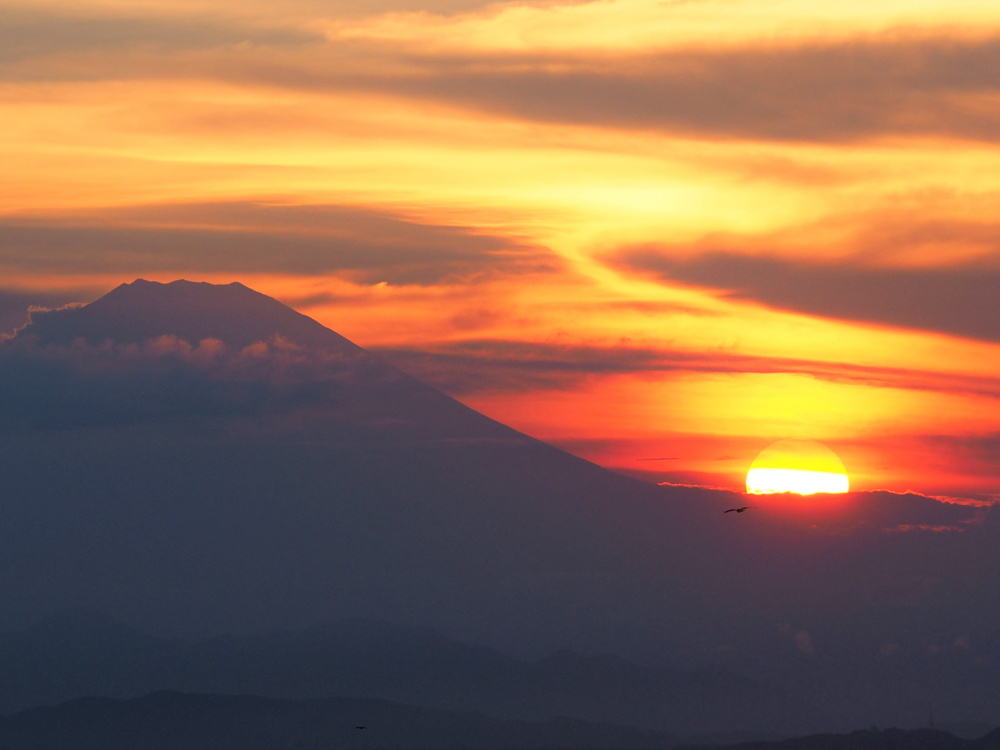 夏の仙元山サンセット（2020.8.29）の画像