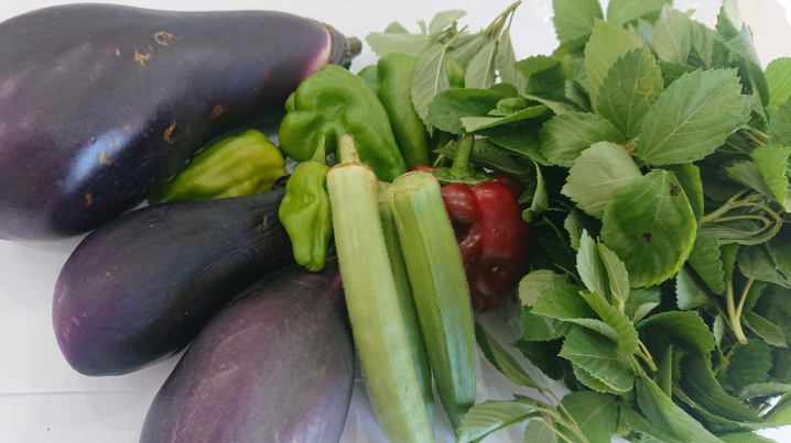 夏野菜いろいろの画像