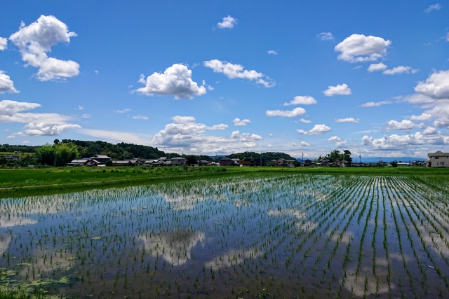 市街化調整区域の農地における不動産取引の注意点の画像