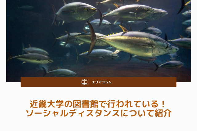 近畿大学の図書館で行われている！ソーシャルディスタンスについて紹介の画像