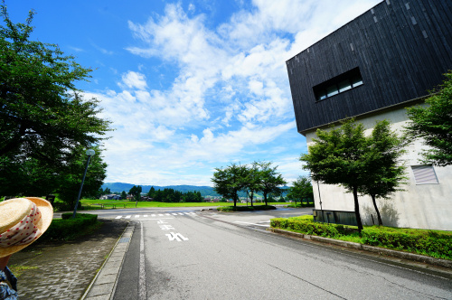毎年恒例の・・・の画像