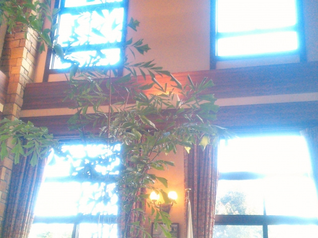 おしゃれで機能的！マイホームに高窓をつけるメリットとデメリット