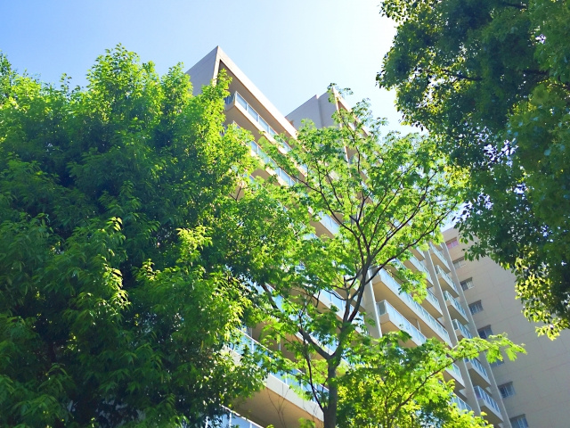 中古マンションを購入しようと思っている方必見！マンションの部屋は南向きがいいって本当？の画像