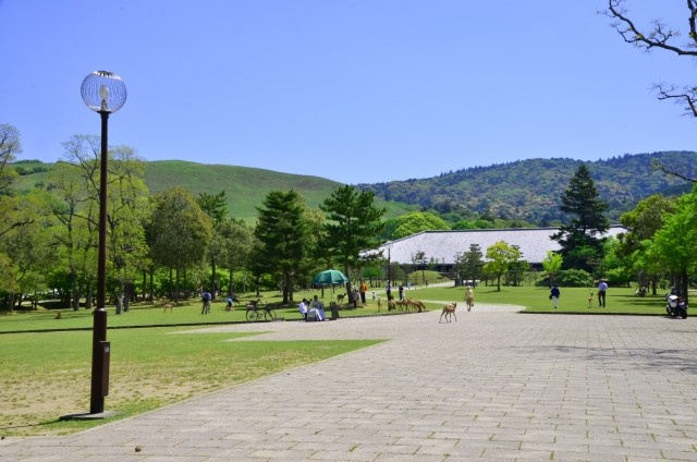 【最大70％割引!】奈良県民限定トラベル「いまなら。キャンペーン」を分かりやすく解説！