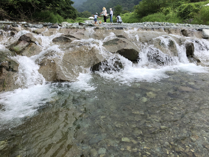 川遊びの画像