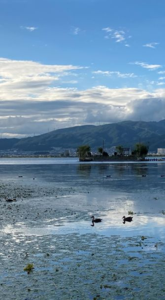 お久しぶりですの画像