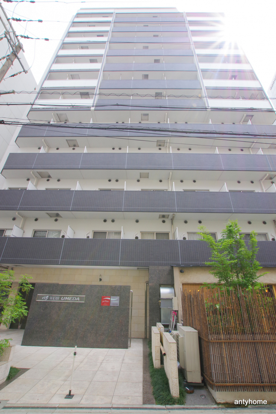 仲介手数料無料