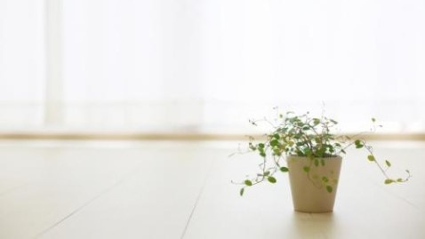 和室をオシャレに見せる方法とは
