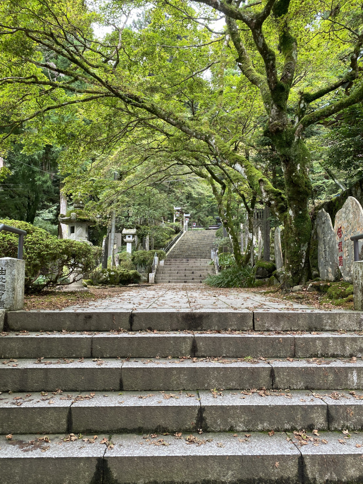 お礼参りの画像