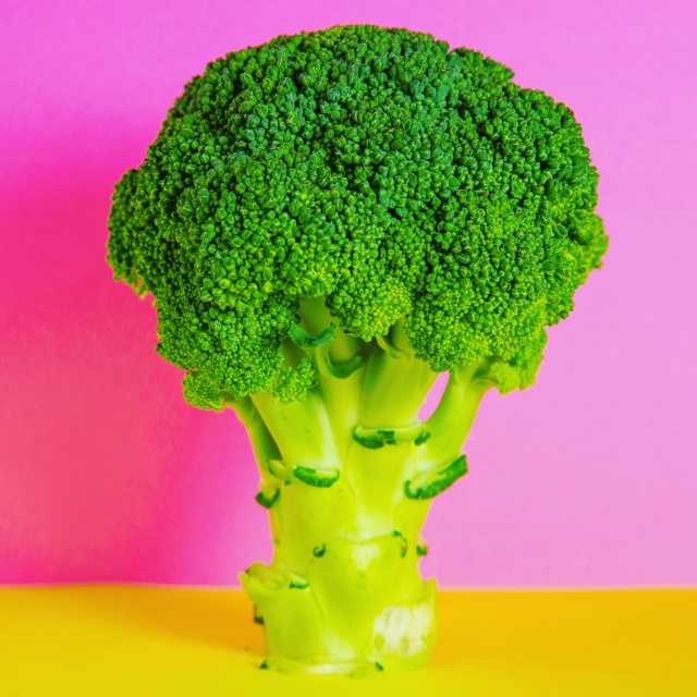 日高市から生まれたしょう油とからしをつなぐ友情の画像