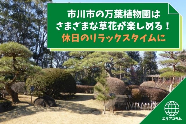市川市の万葉植物園はさまざまな草花が楽しめる！休日のリラックスタイムにの画像