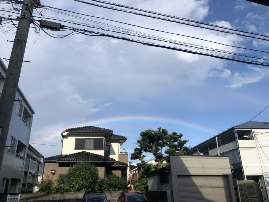 ニジューの画像