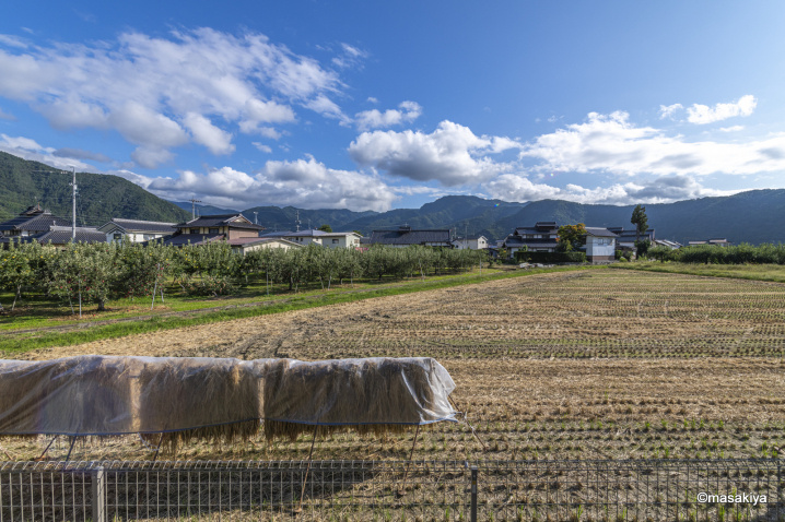 衣替えの画像