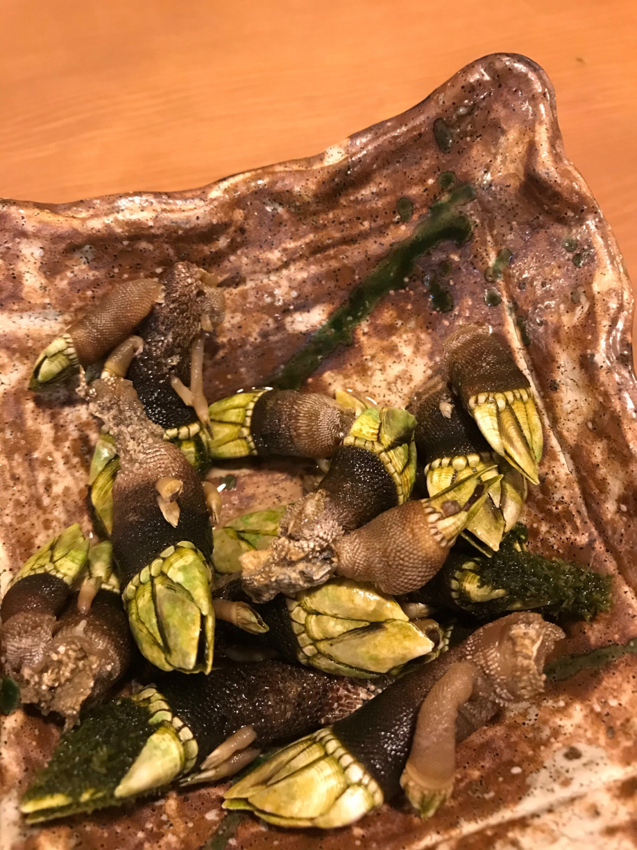 ～スタッフの日常～の画像