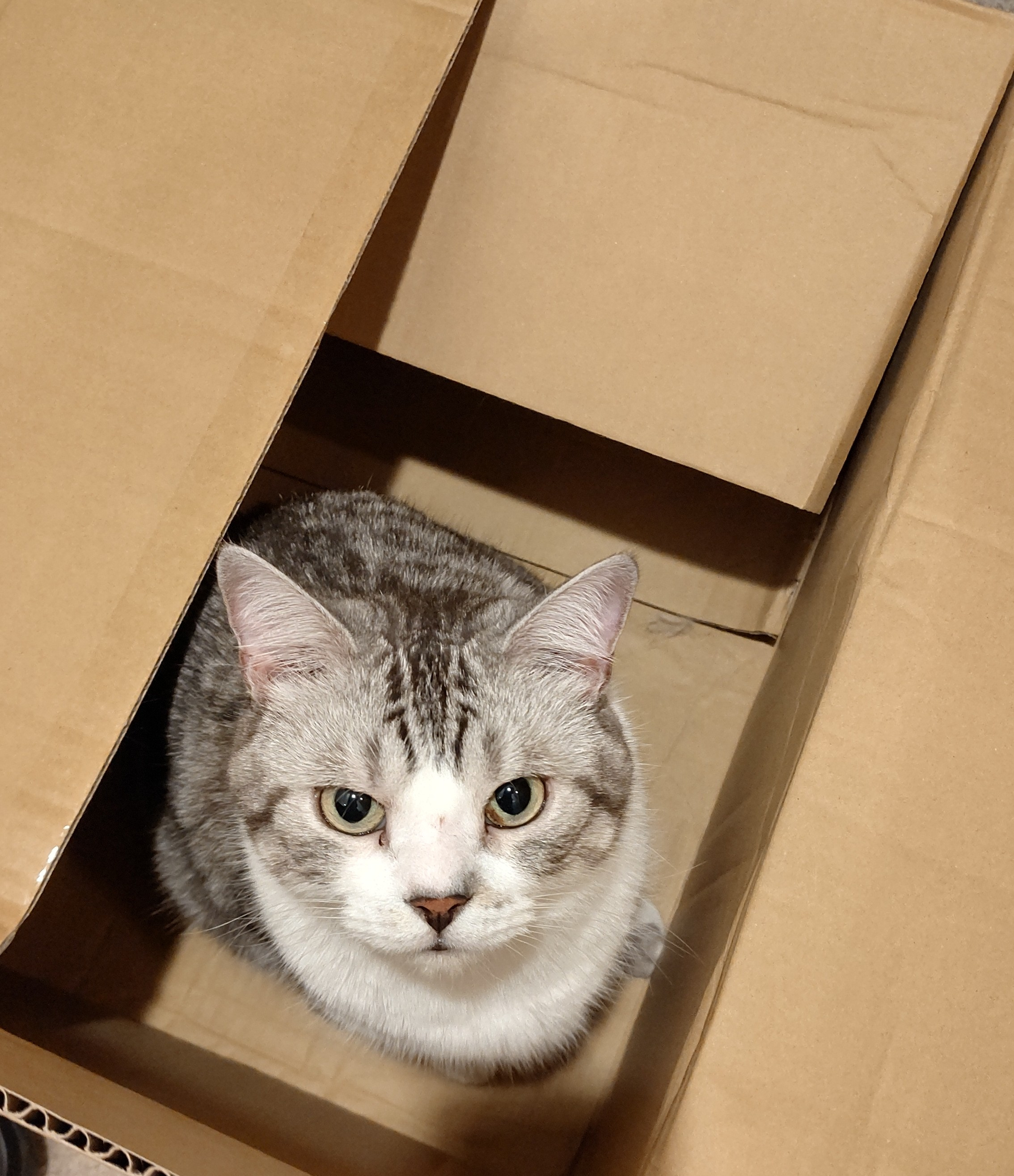 今日は雨模様～の画像