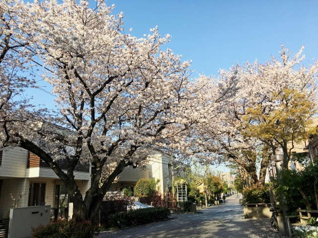 世田谷区の魅力とは？住みやすさポイントをご紹介！の画像