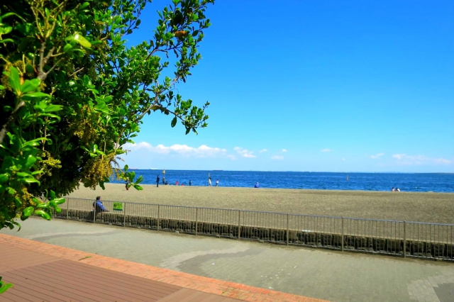 大田区にあるおすすめの公園を紹介 城南島海浜公園と平和の森公園 旗の台の賃貸 不動産物件は開成産業へ