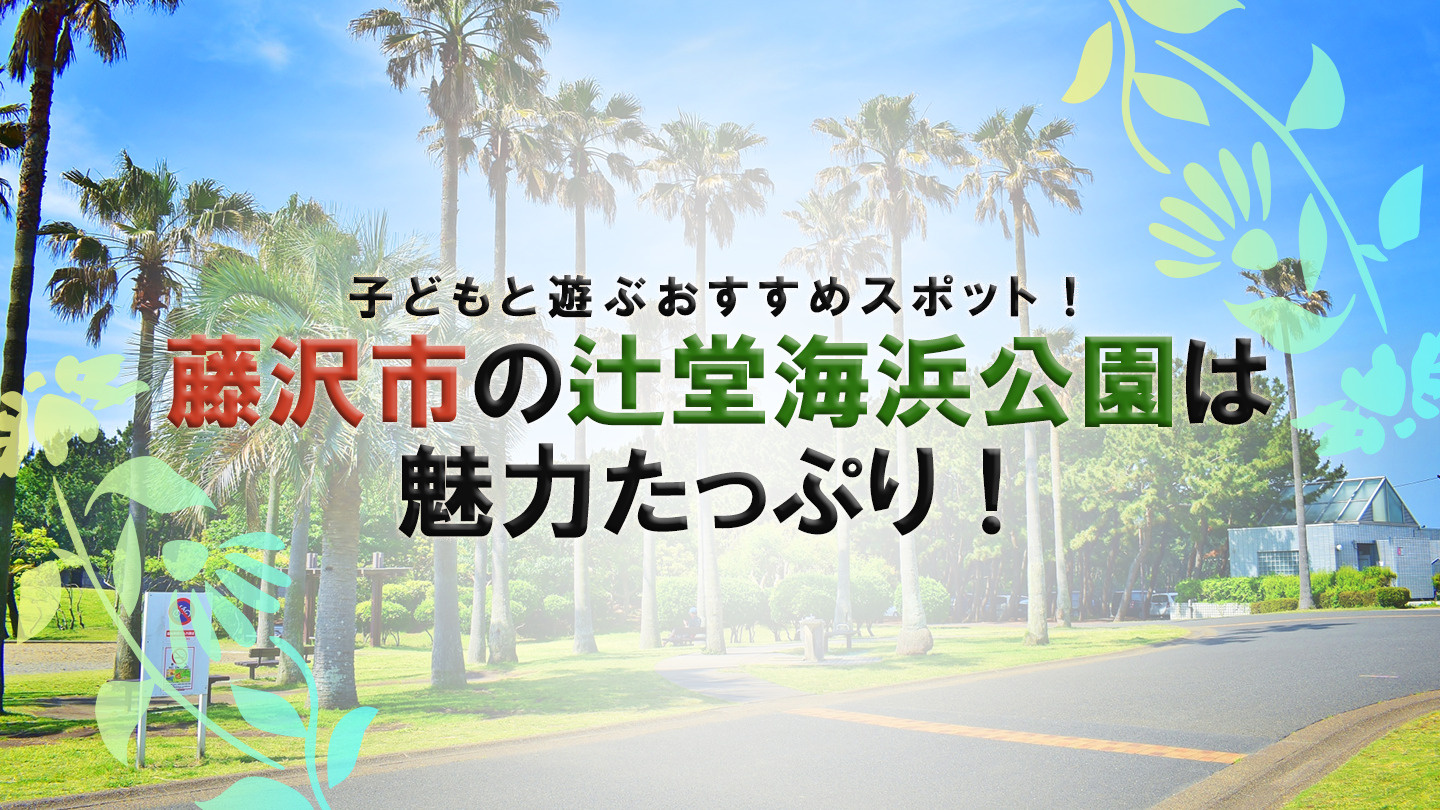 子どもと遊ぶおすすめスポット!藤沢市の辻堂海浜公園は魅力たっぷり!の画像