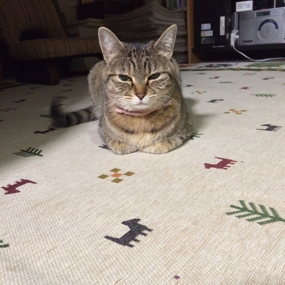 面白い座り方♪の画像