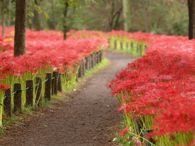 住みやすさを求めるなら埼玉県の日高市への画像