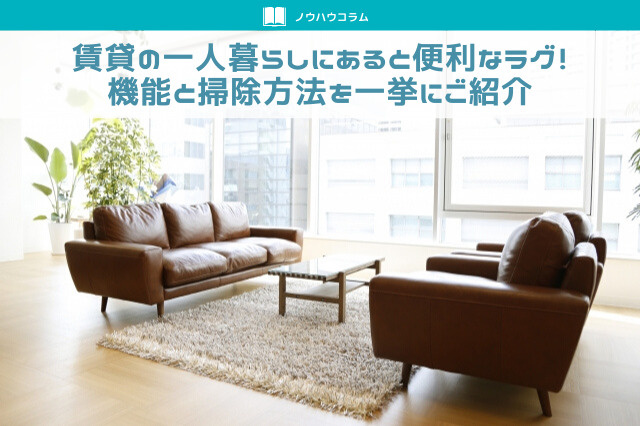 賃貸の一人暮らしにあると便利なラグ！機能と掃除方法を一挙にご紹介の画像