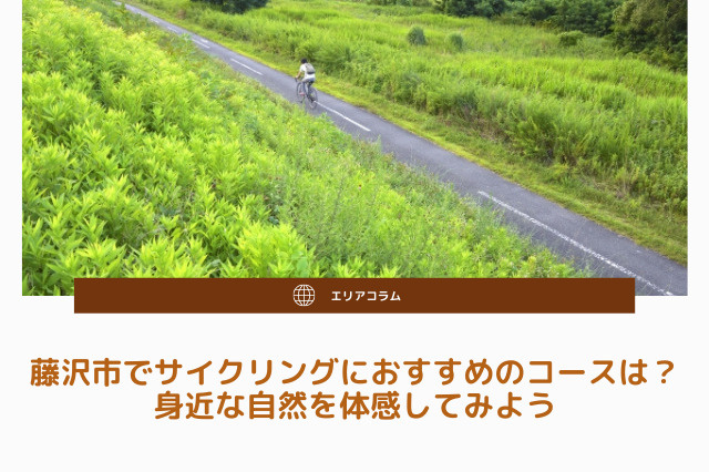 藤沢市でサイクリングにおすすめのコースは？身近な自然を体感してみようの画像